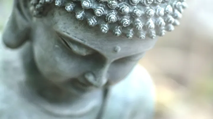 My Maitri Yoga — Yoga in Leichlingen (Rheinland), Köln