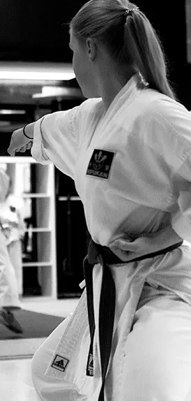 Västerås Karate Center — Kampsport i Hälla, Västerås