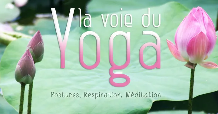 Cours de Yoga avec Laude Demay au Studio — yoga-studio à Cuques, Aix-en-Provence — 2