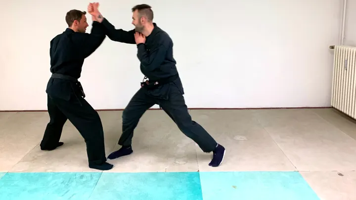 Bujinkan Kurage Dojo — Kampfsport in Maxvorstadt, München