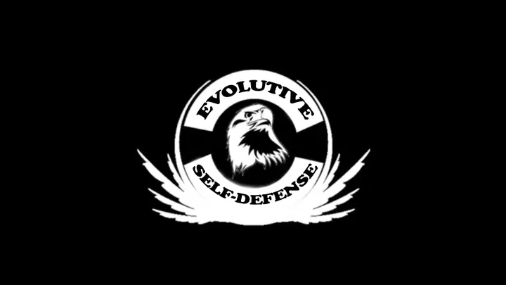 Evolutive Self-Défense (KRAV MAGA-PENCAK SILAT) — arts martiaux-studio à Illkirch-Graffenstaden, Strasbourg — 2