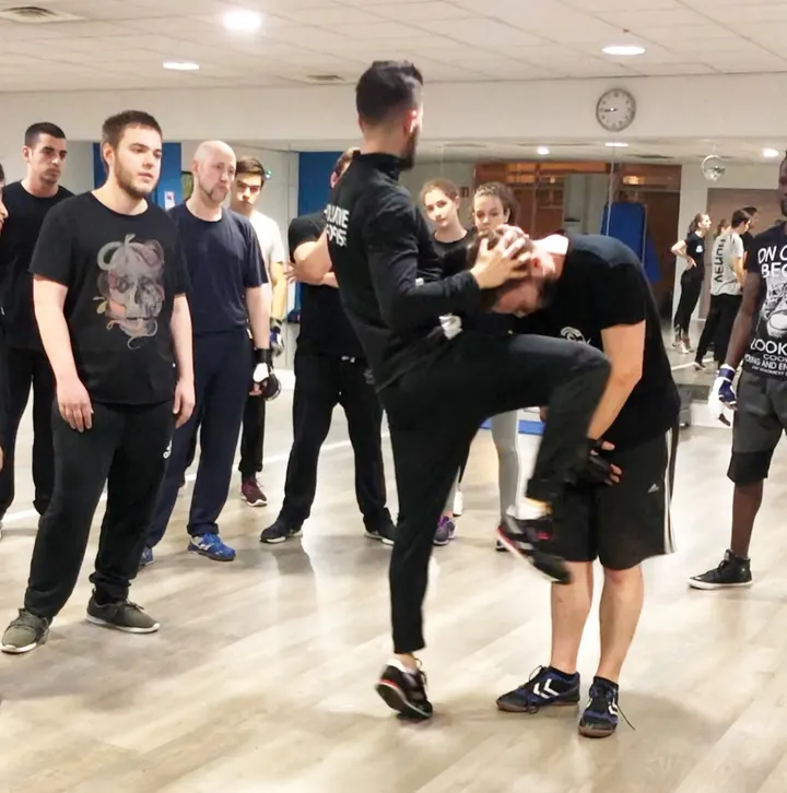Evolutive Self-Défense (KRAV MAGA-PENCAK SILAT) — arts martiaux-studio à Illkirch-Graffenstaden, Strasbourg — 3