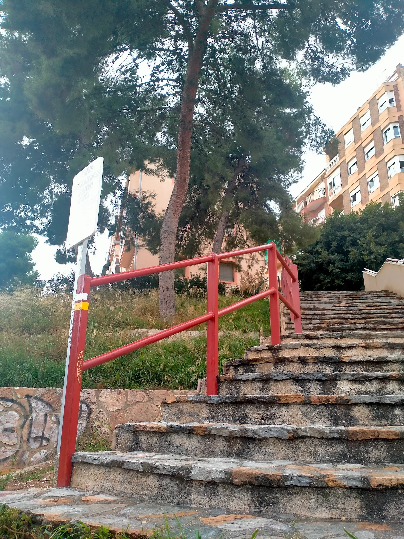 Parque calistenia sur — calisthenics-studio en Urbanització Les Atzavares, Elche — 3