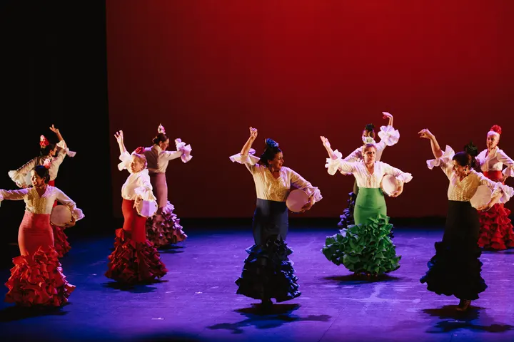Escuela De Danza Trinidad Artíguez — dance-studio i Distrito Municipal I (sin urbanizaciones), Pozuelo de Alarcón