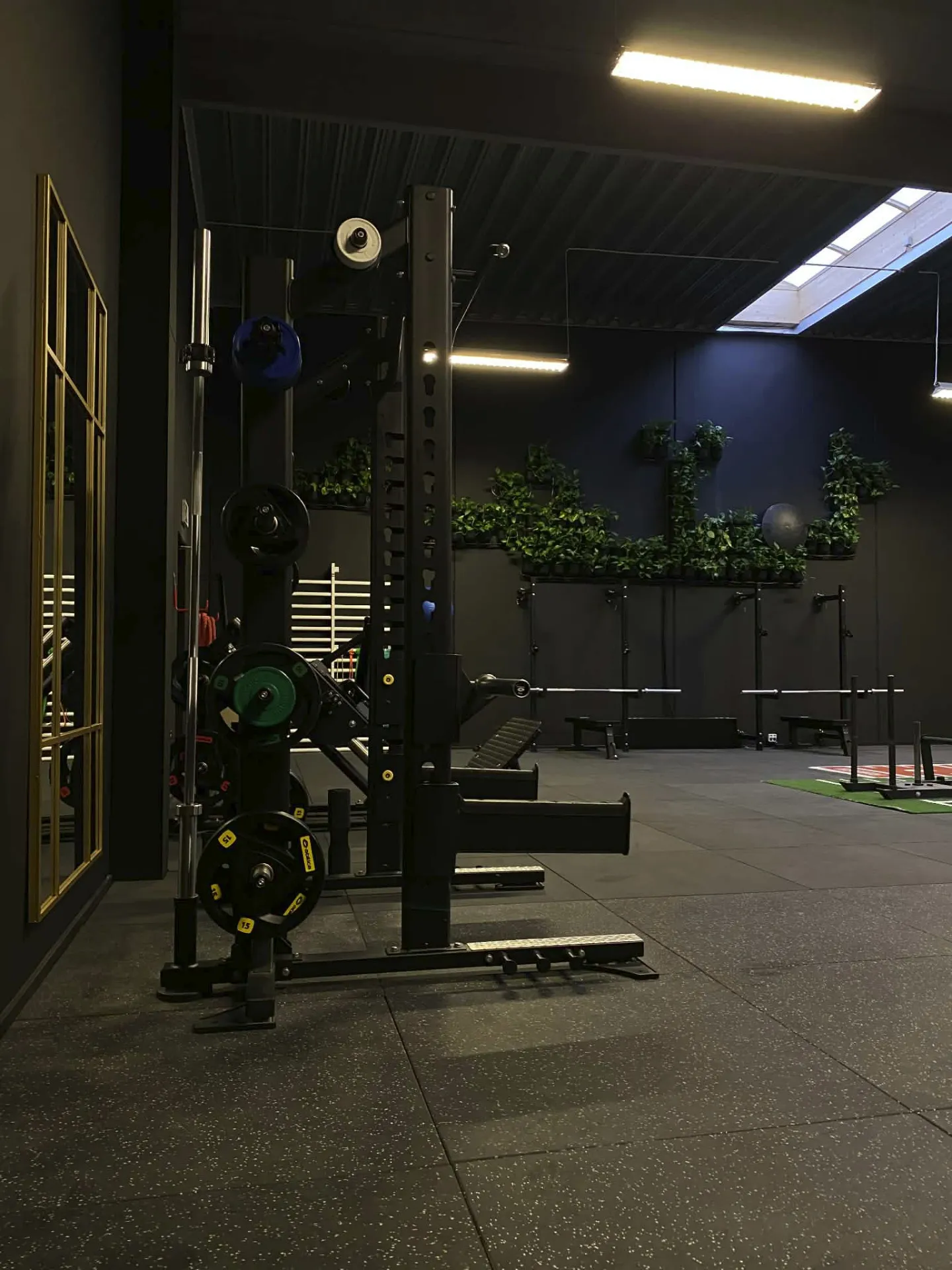 Team Rosenkrantz Fitness — træningsstudio-studio i Odense — bild 4