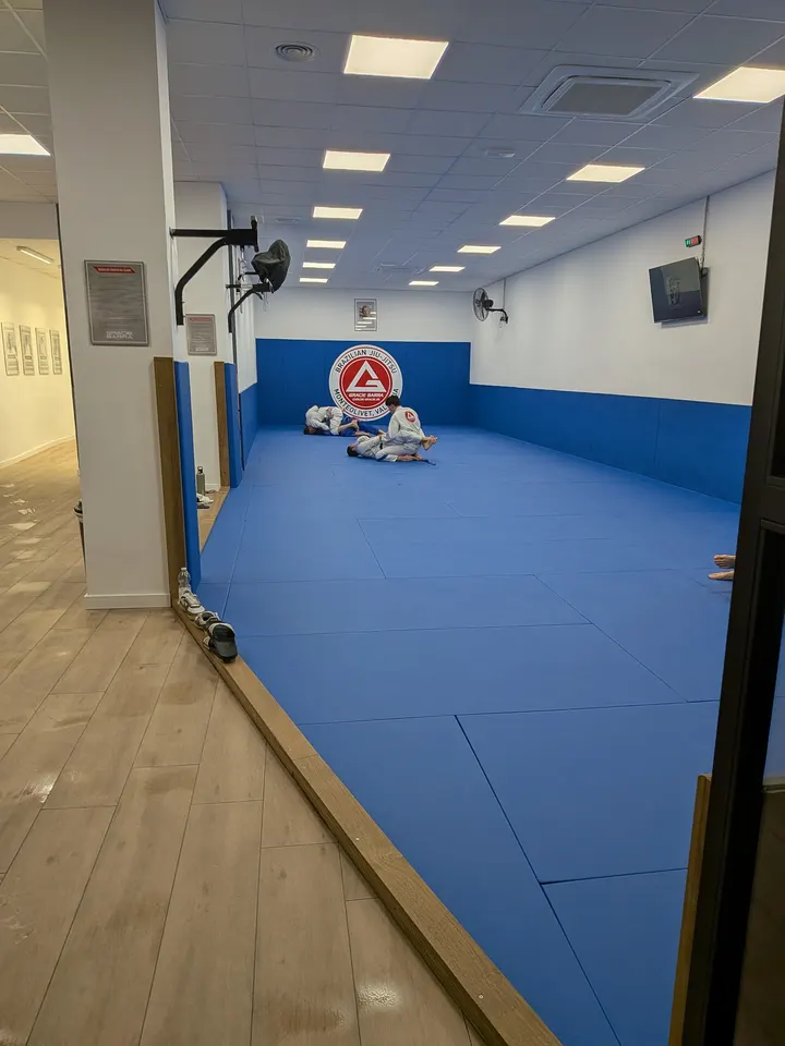 Gracie Barra Monteolivet — bjj-studio en Montolivet, Valencia — 3