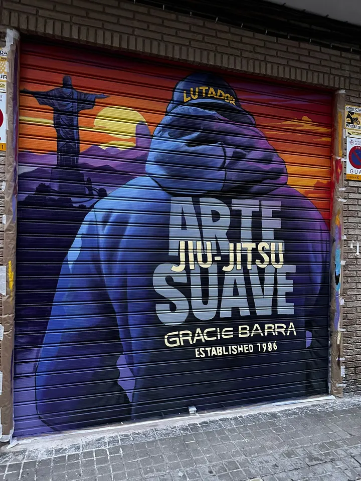 Gracie Barra Monteolivet — bjj-studio en Valencia — 4