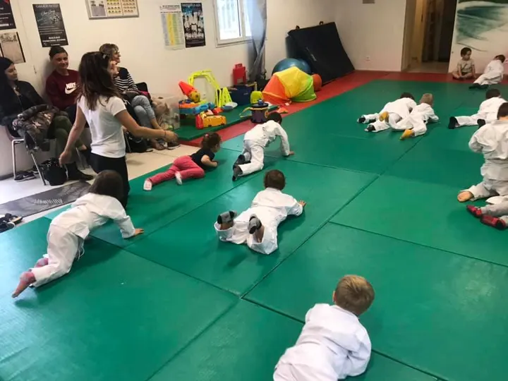 Dojo Claira — arts martiaux-studio aux Portes de Claira, Claira — 2