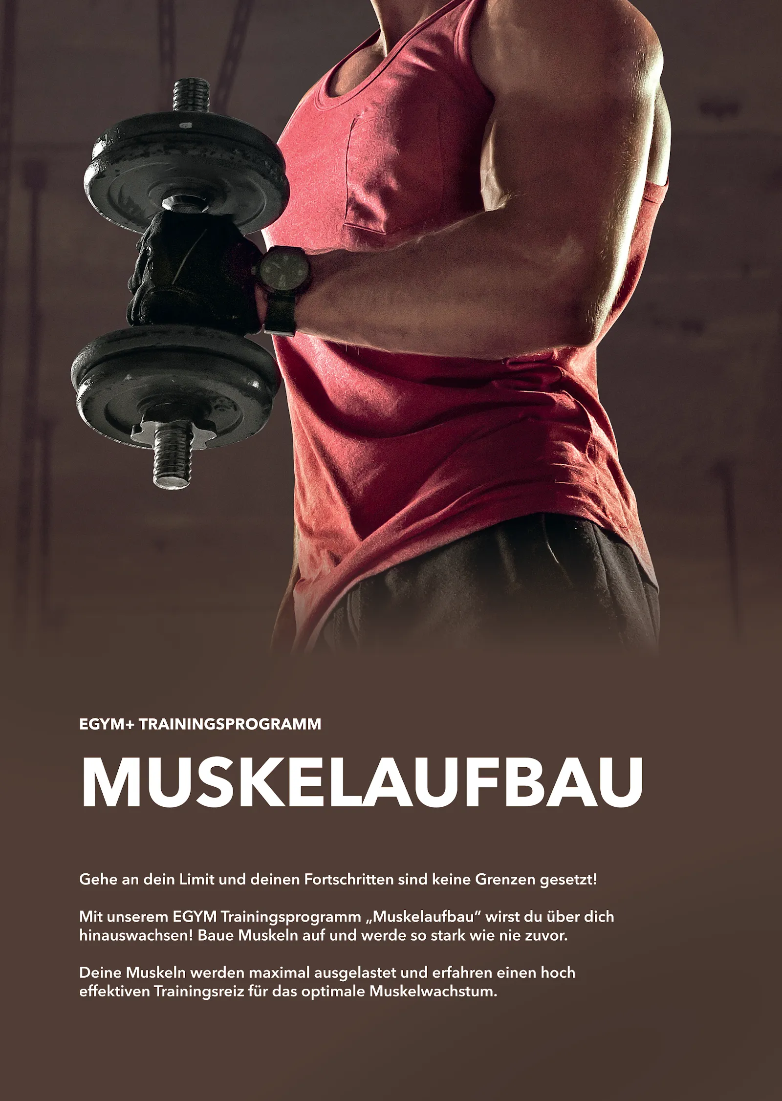 Taram Fit — pt-studio in Berlin — 3