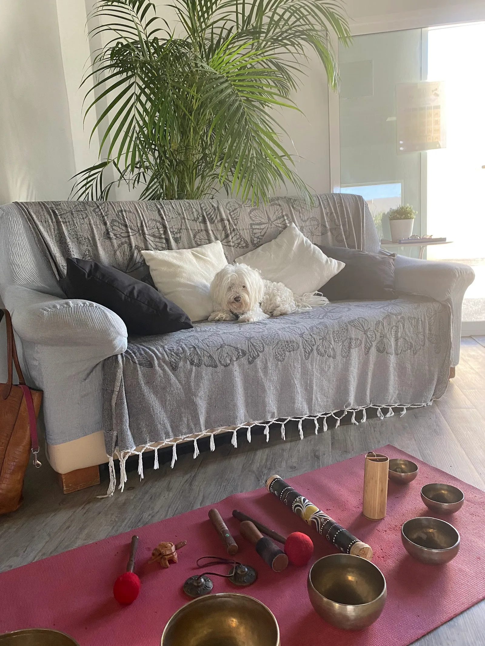 Experiencias Carpe Diem — pilates-studio en Costa Teguise — 3