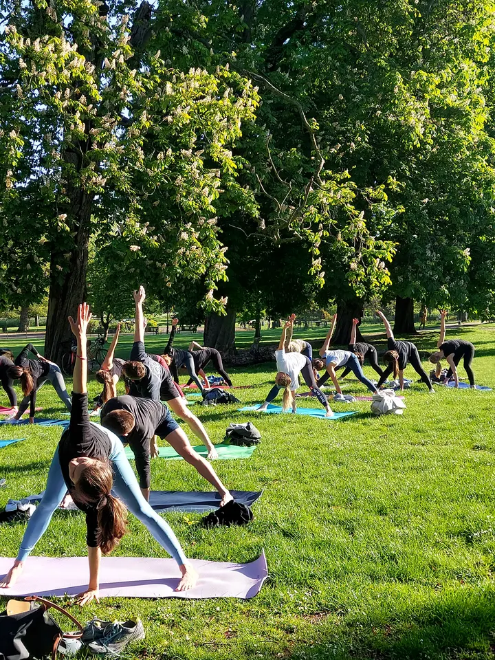 mistercollieman — yoga-studio in London — 4