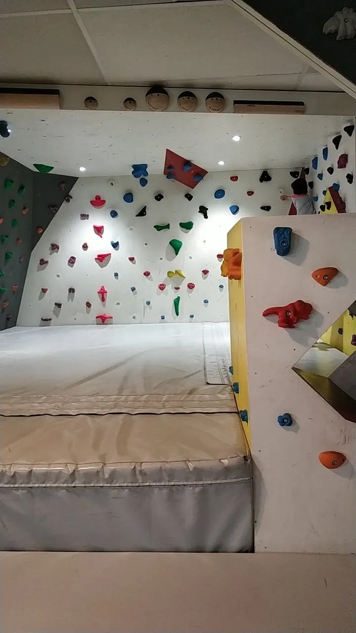 Pic et Paroi — bloc-studio à Nantes — 3