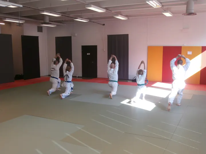 Lappeenrannan Taekwondo Seura — kamppailulajit-studio – Lappeenranta — 5