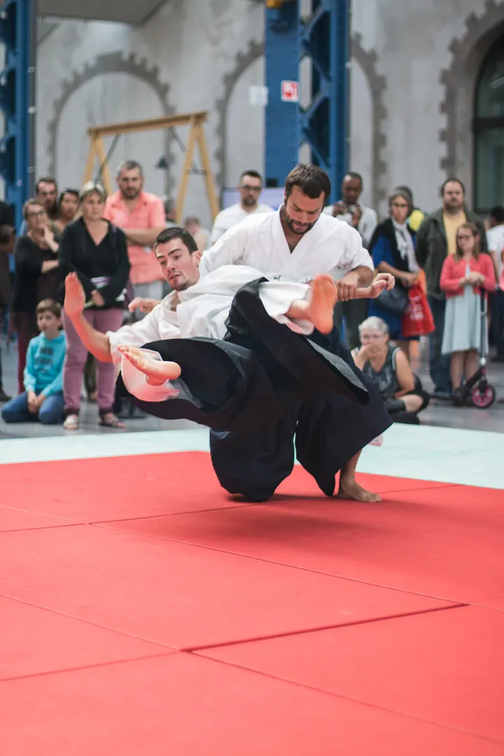 Misogi Dojo Aïkido — arts martiaux-studio à Brest-Centre, Brest — 2