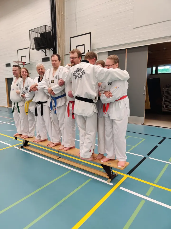 Hausjärvi Hong Taekwondo — kamppailulajit-studio – Hausjärvi — 5