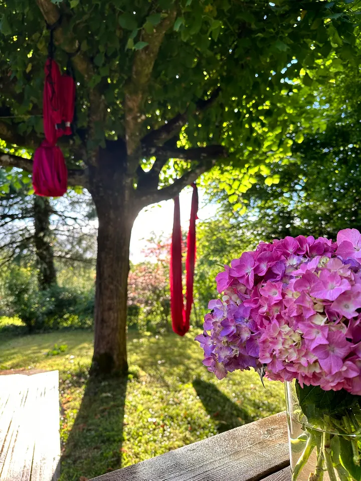SahaYoga Chatreix — yoga-studio à Chatreix, Limoges — 2