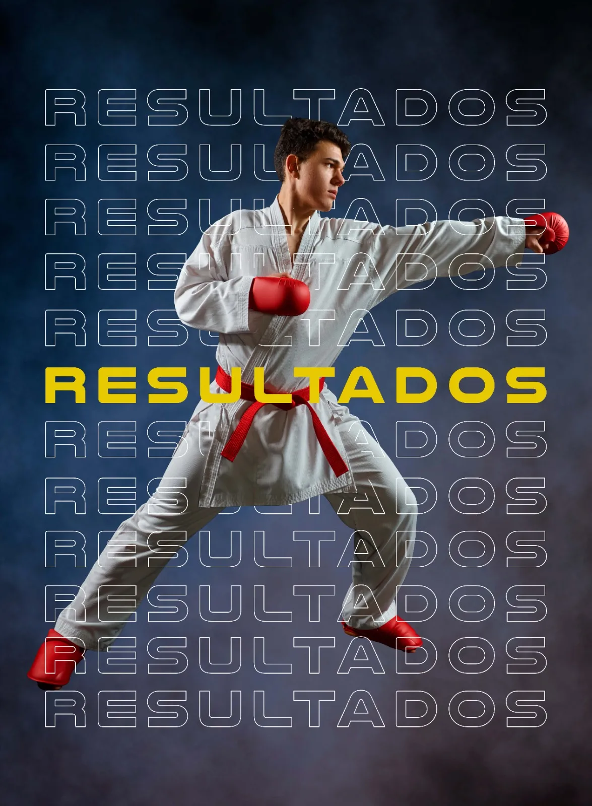 Federación Asturiana de Karate — artes marciales-studio en El Cristo, Oviedo — 2