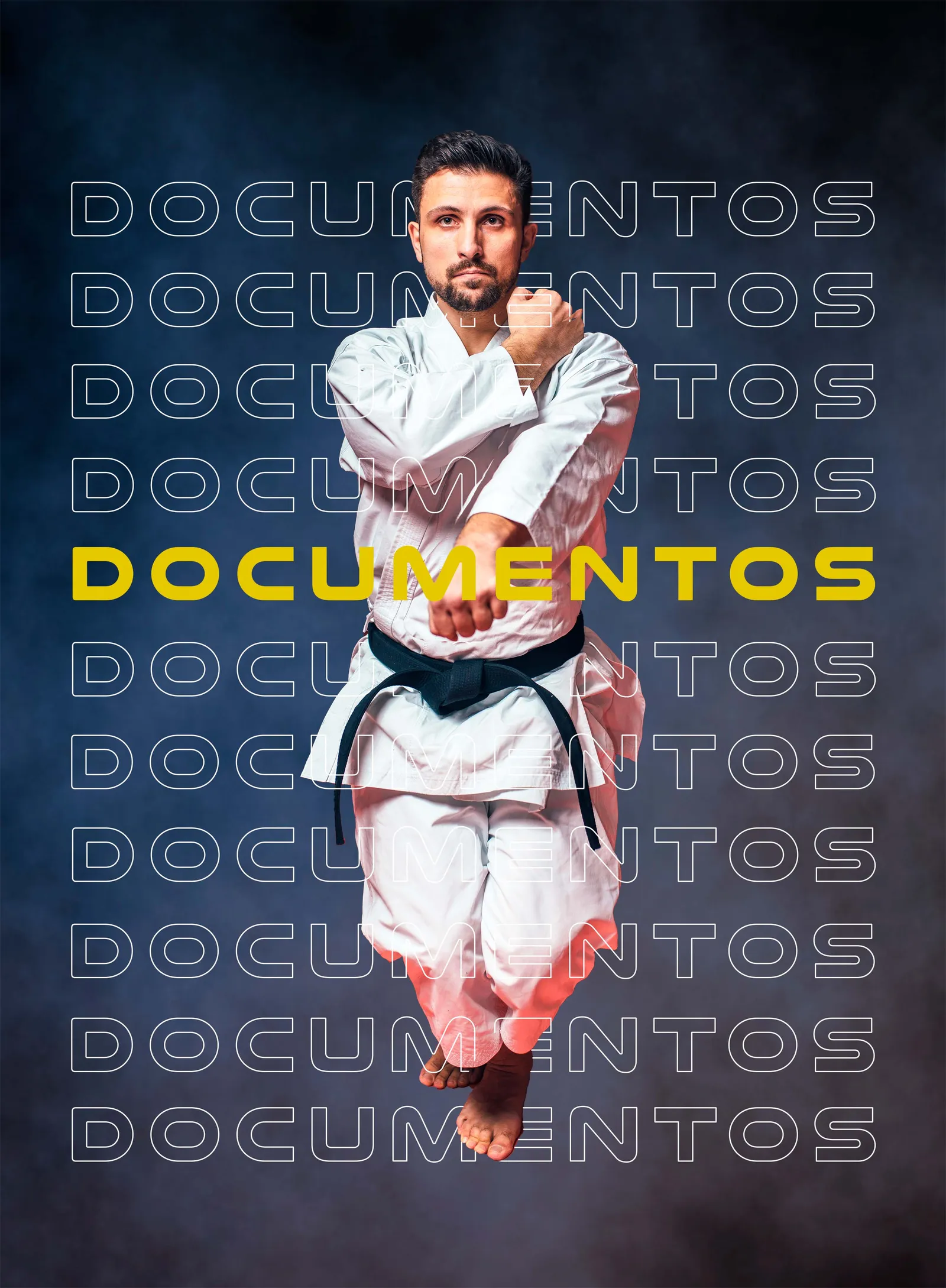 Federación Asturiana de Karate — artes marciales-studio en El Cristo, Oviedo — 3