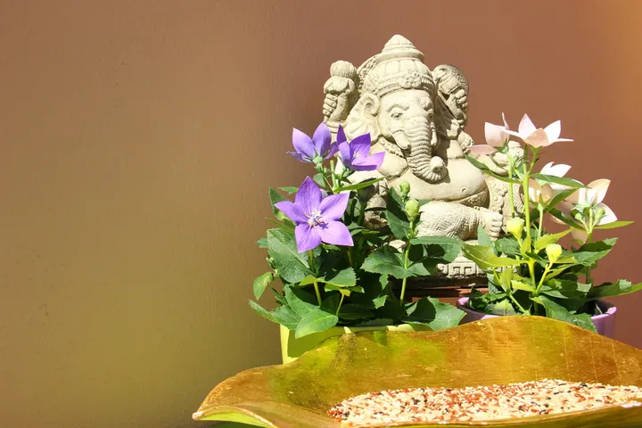 Himalaya Yoga Shala — yoga-studio a Cagliari — 3
