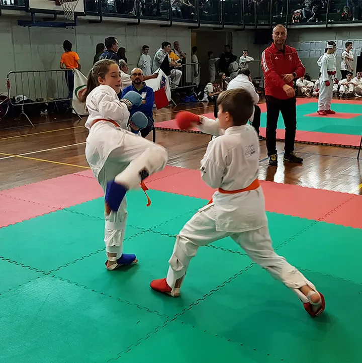 Wado Kai Karate Brescia — arti marziali-studio a Brescia — 3