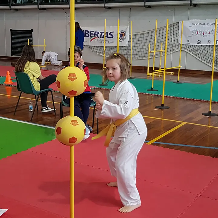 Wado Kai Karate Brescia — arti marziali-studio a Brescia — 4