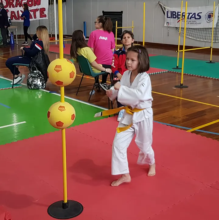 Wado Kai Karate Brescia — arti marziali-studio a Brescia — 6