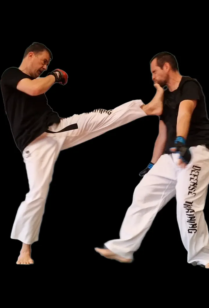 Equinoxe Karate 66 — Arts martiaux à Saleilles