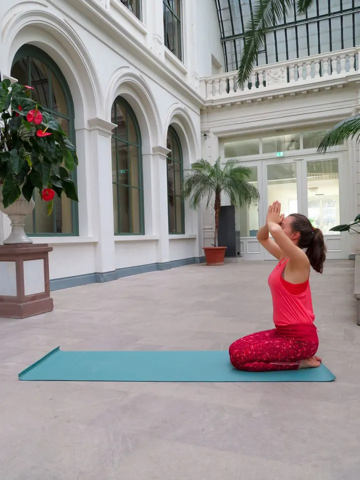 Elena Habl Yoga — Yoga in Zeilsheim, Frankfurt am Main