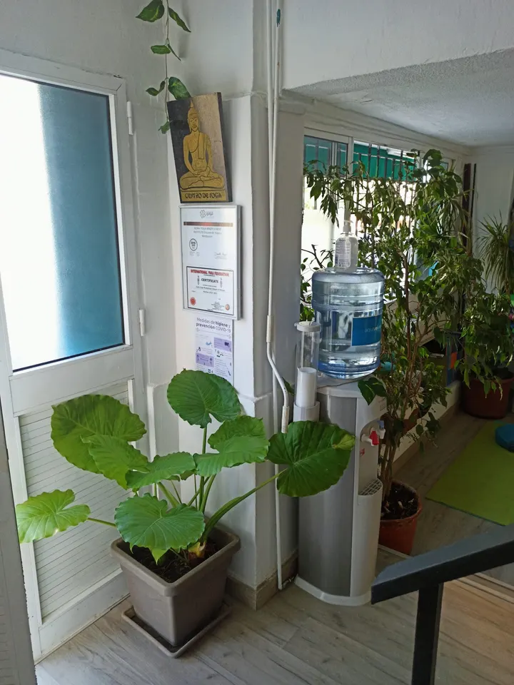 Yoga & Meditacion — Yoga en Carranque, Málaga