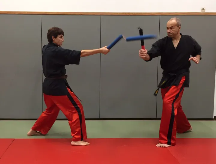 Zanshin Mugen Kan — arts martiaux-studio à Notre-Dame-de-Bondeville — 3