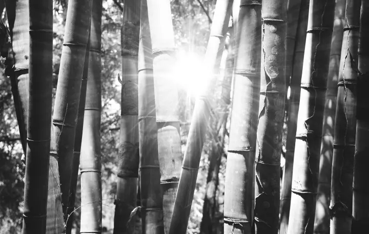 Yin Yoga Maddy — yoga-studio in Zuid, Hoogeveen — 3