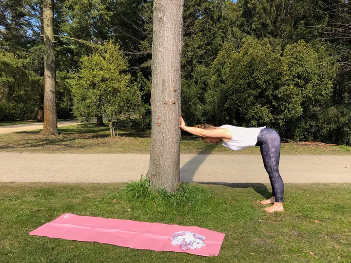 Wolkengrün - @Lietzensee - Personal Training — Yoga in Charlottenburg, Berlin