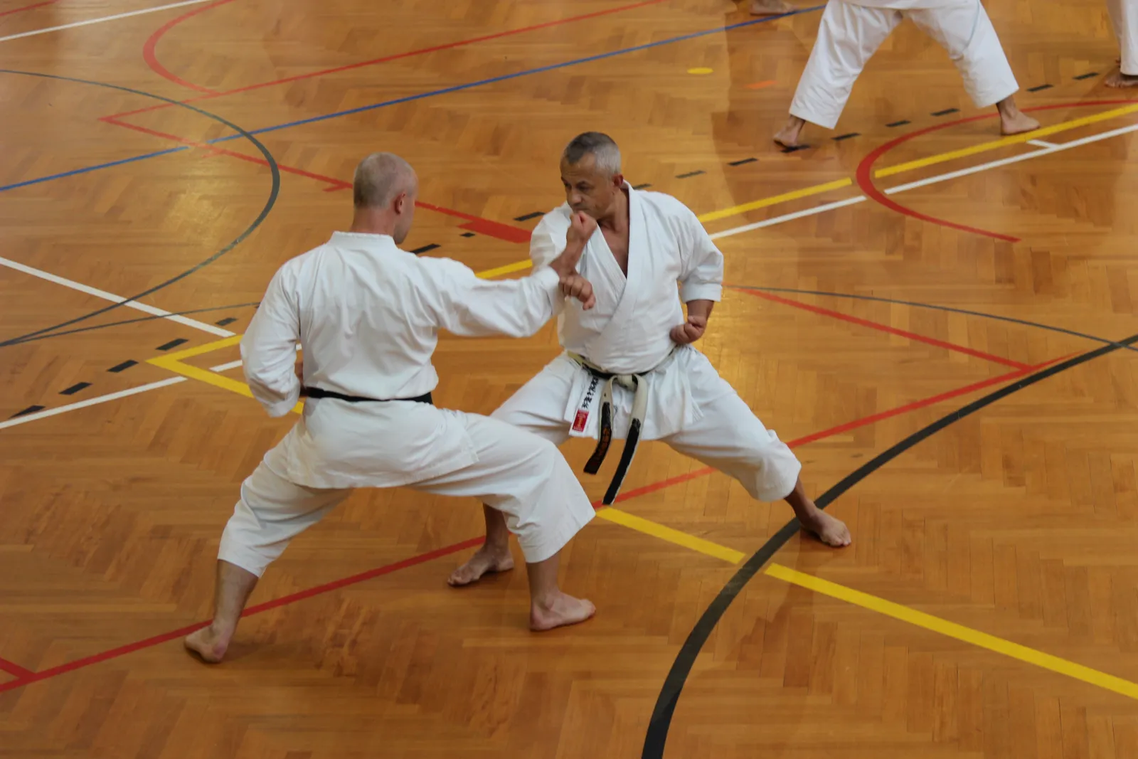 Miyako Kase Ha Karate e.V. — kampfsport-studio in Falkensee — 2