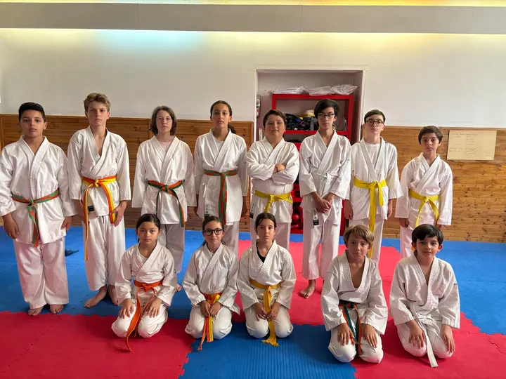 Massilia Karaté Club — arts martiaux-studio à Marseille — 4