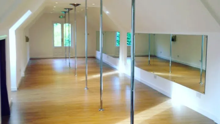 Ariel Pole Dance Studio — dance-studio in South Ashford, Ashford — 2