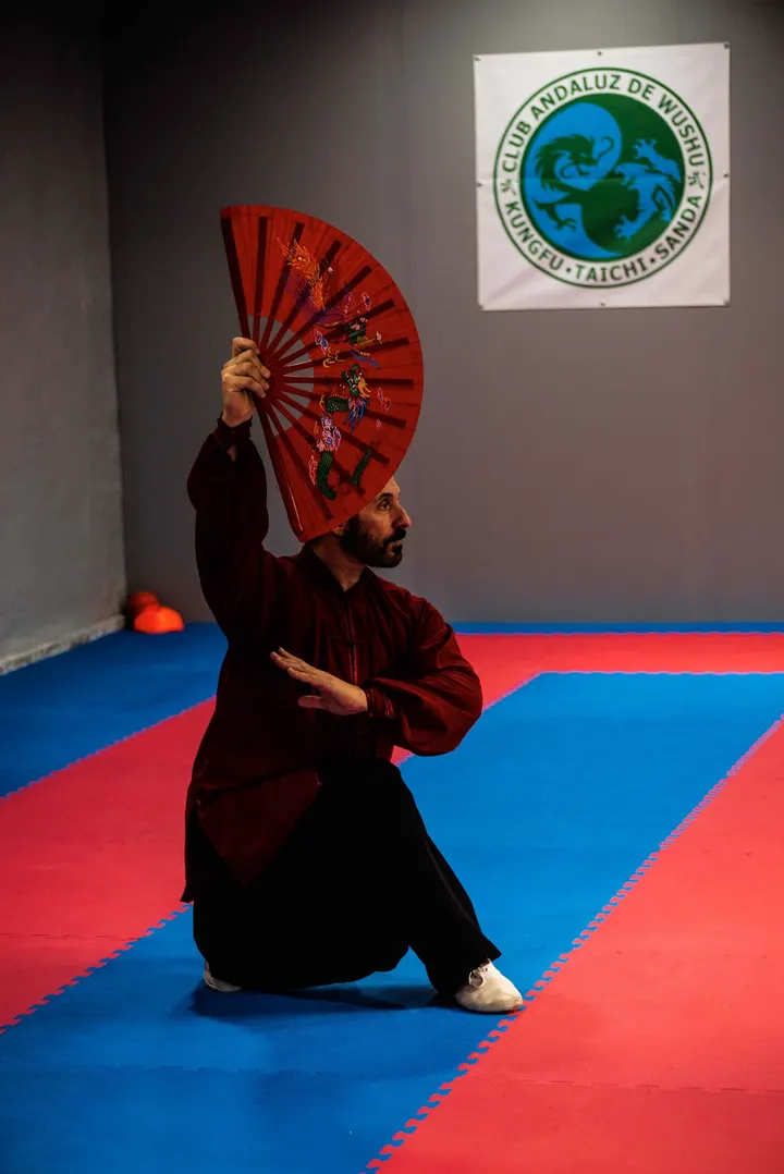 Club Andaluz De Wushu Kungfu Y Taichi — artes marciales-studio en Málaga — 5