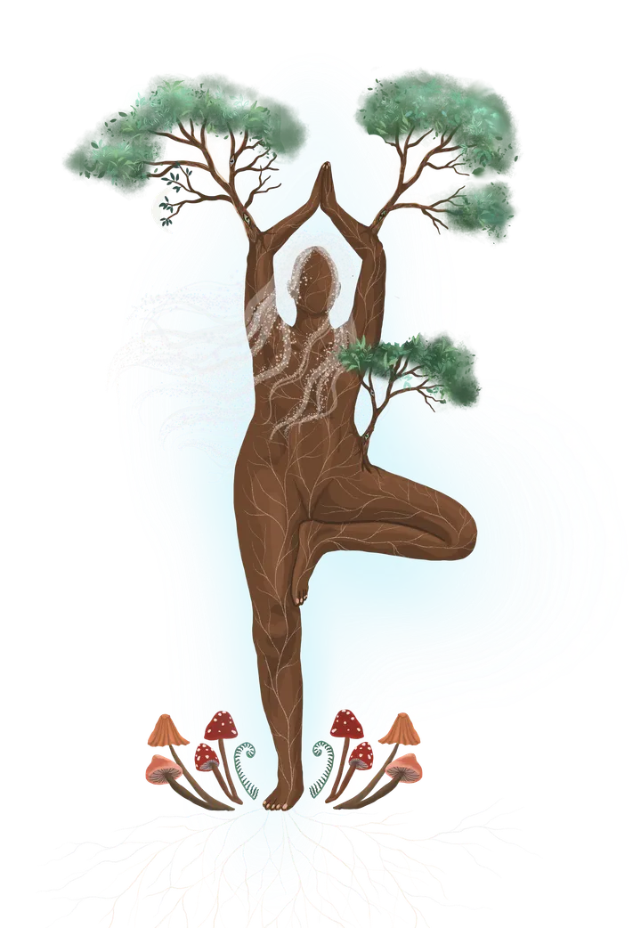 Yoga Nature Sheffield — yoga-studio in Nether Edge, Sheffield — 3