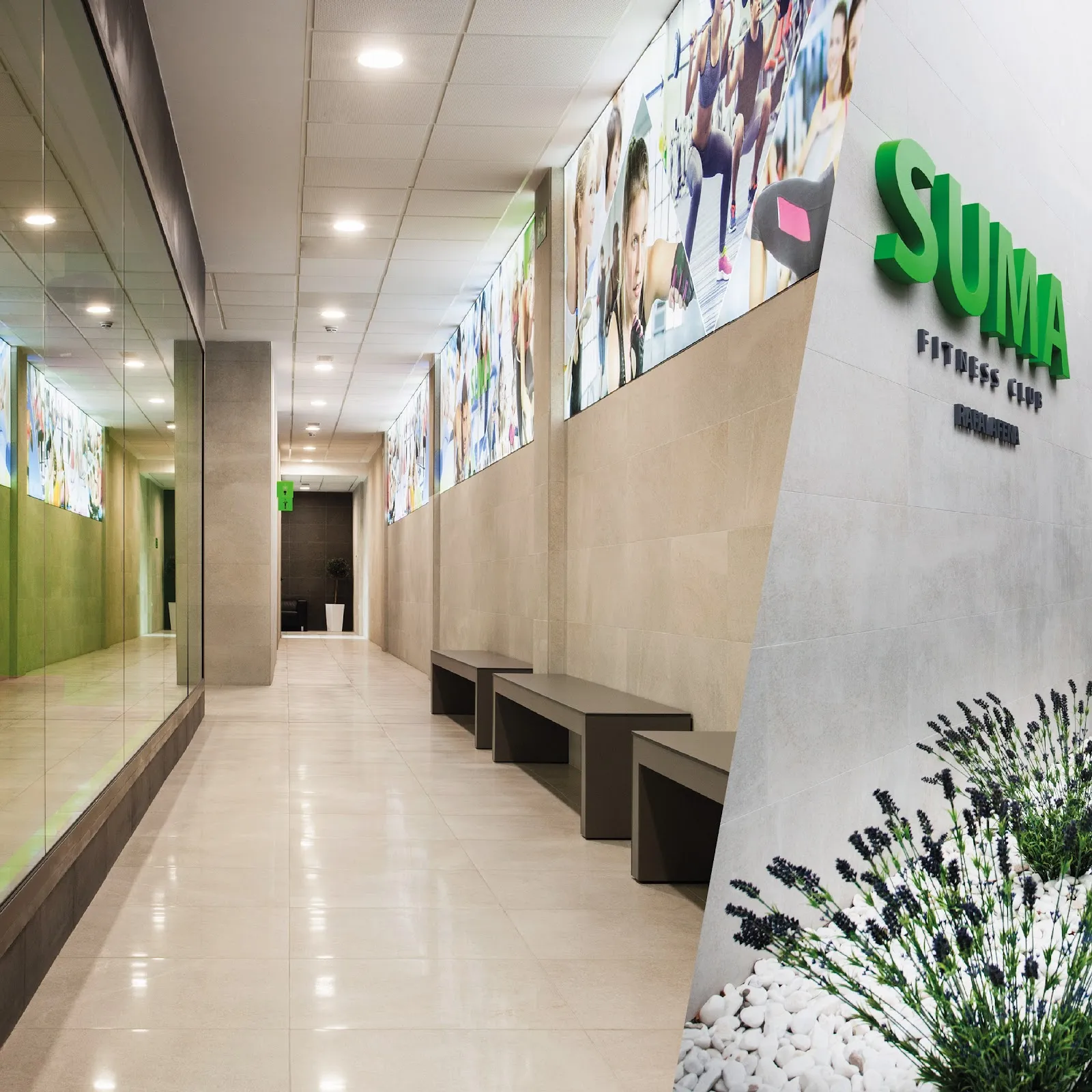 SUMA Fitness Club RAFALAFENA | Gimnasio y Piscina en Castellón — estudio de fitness-studio en Castelló de la Plana — 5