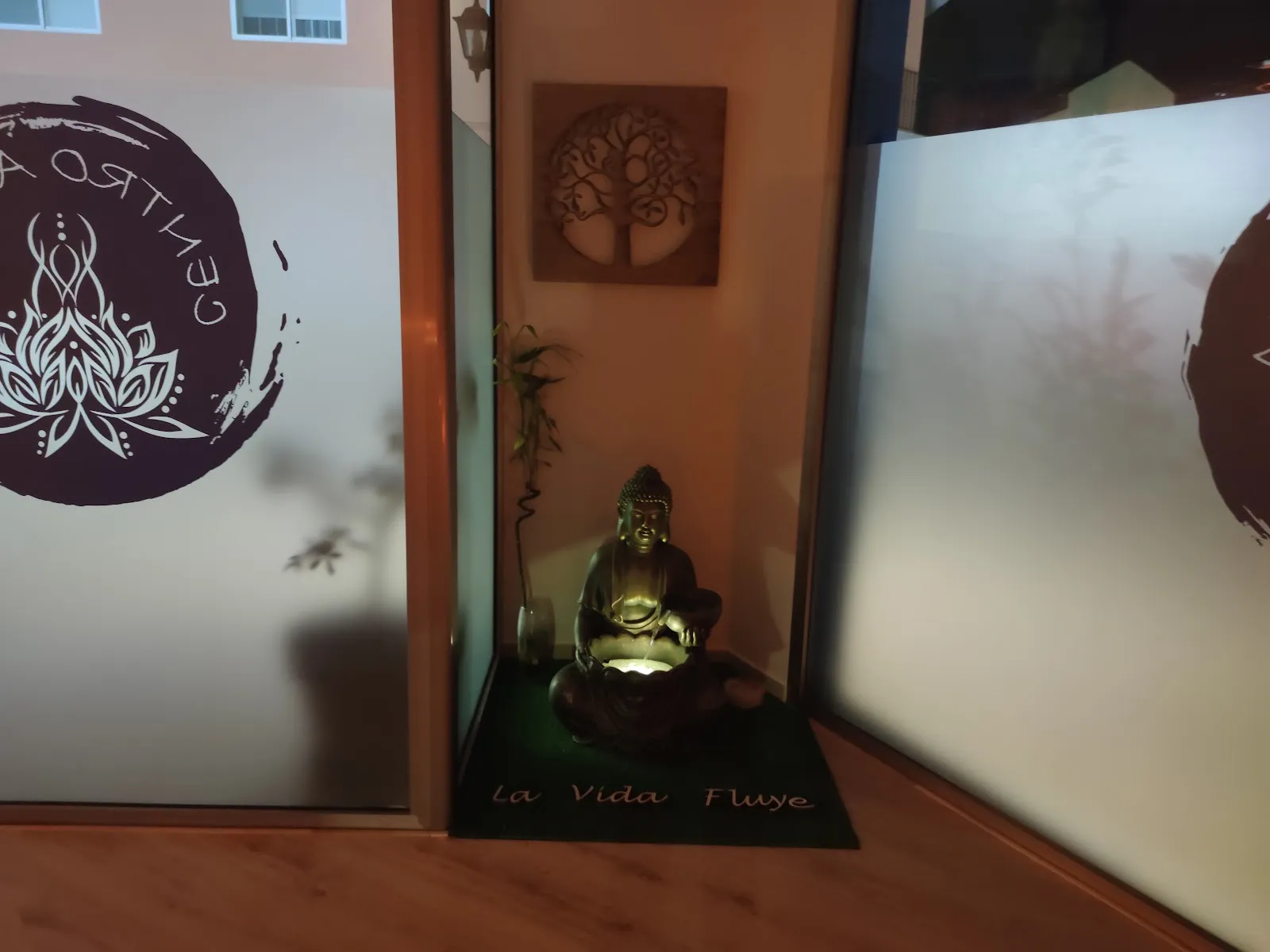 Centro Asana Sport — pilates-studio en l'Alcúdia de Crespins — 4