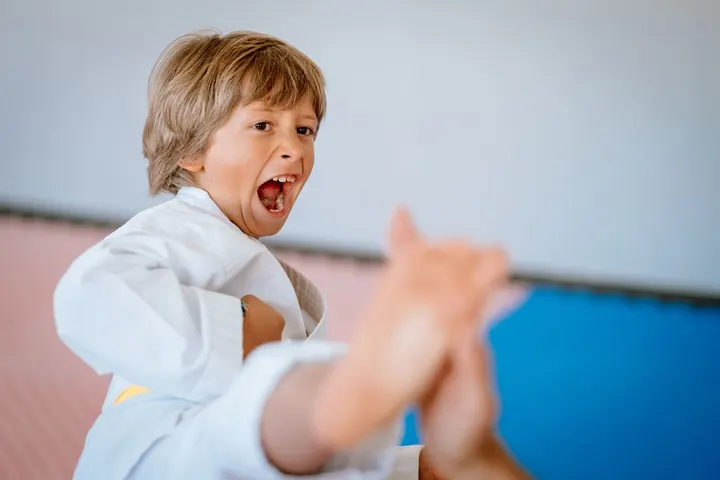 Karate Alcanena: Home — artes marciais-studio em Baleal — 4