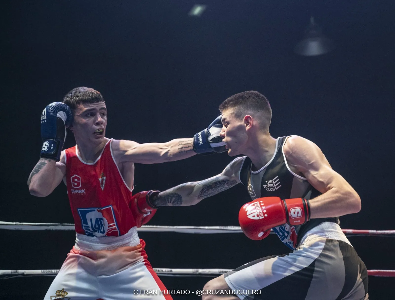 Federación de Boxeo Región de Murcia — artes marciales-studio en Murcia, Murcia — 3