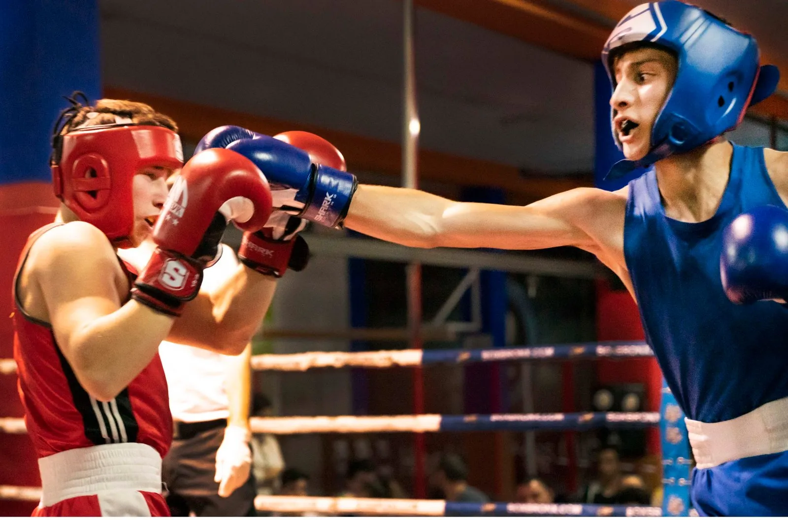 Federación de Boxeo Región de Murcia — artes marciales-studio en Murcia — 3