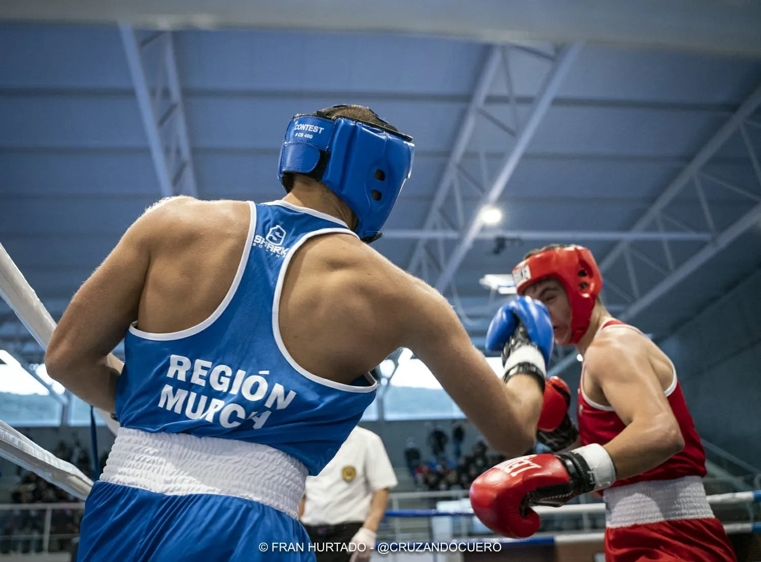 Federación de Boxeo Región de Murcia — artes marciales-studio en Murcia — 4