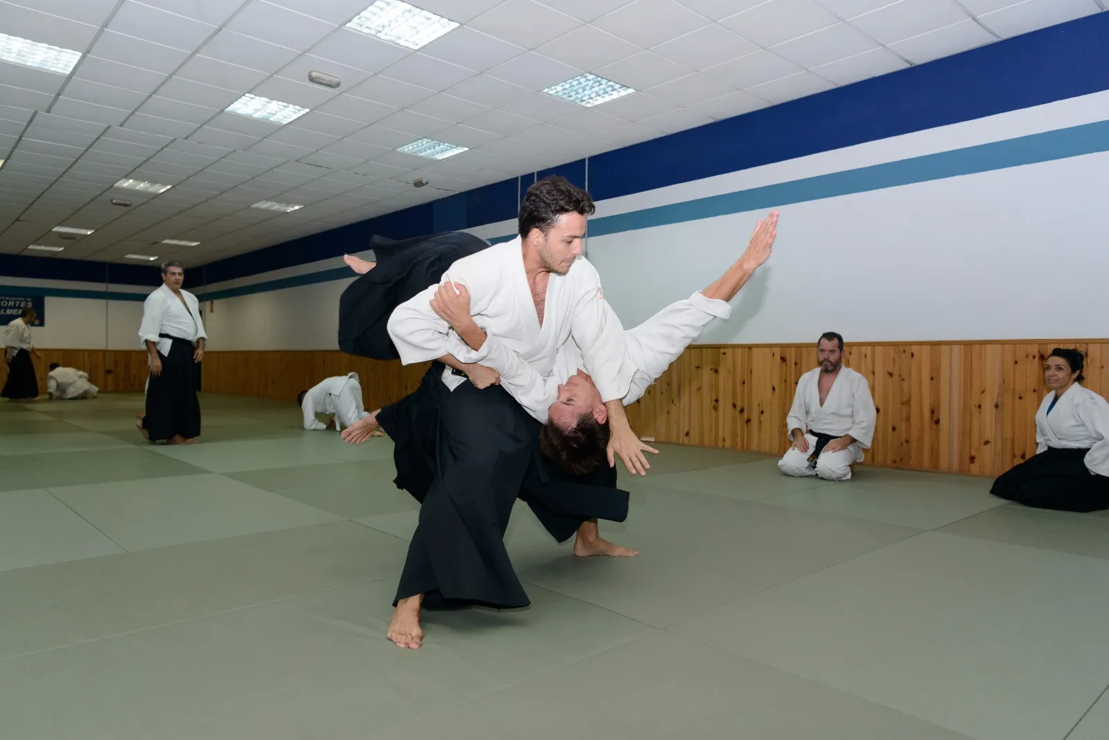 Almería Aikido Aikikai - Clases de Aikido en Almería — artes marciales-studio en Almería — 5