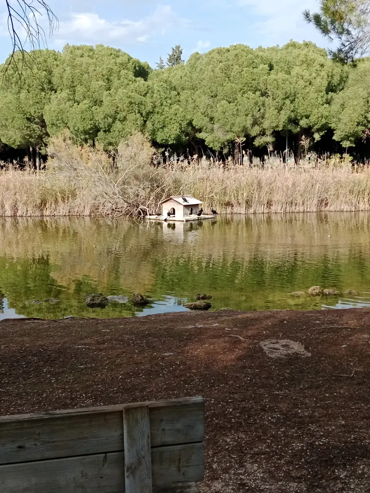 Training on Way - Parque infanta Elena — entrenamiento personal-studio en Sevilla Este, Sevilla — 2