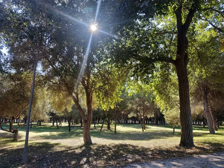 Training on Way - Parque infanta Elena — entrenamiento personal-studio en Sevilla Este, Sevilla — 3