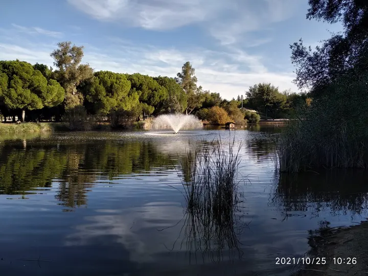 Training on Way - Parque infanta Elena — entrenamiento personal-studio en Sevilla — 3