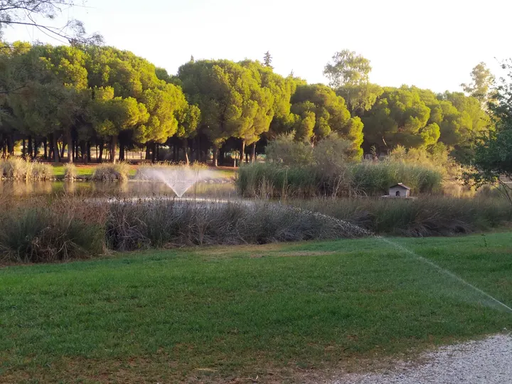 Training on Way - Parque infanta Elena — entrenamiento personal-studio en Sevilla — 5