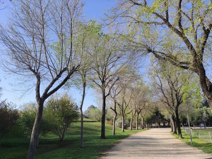Training on Way - Parque infanta Elena — Entrenamiento personal en Sevilla Este, Sevilla