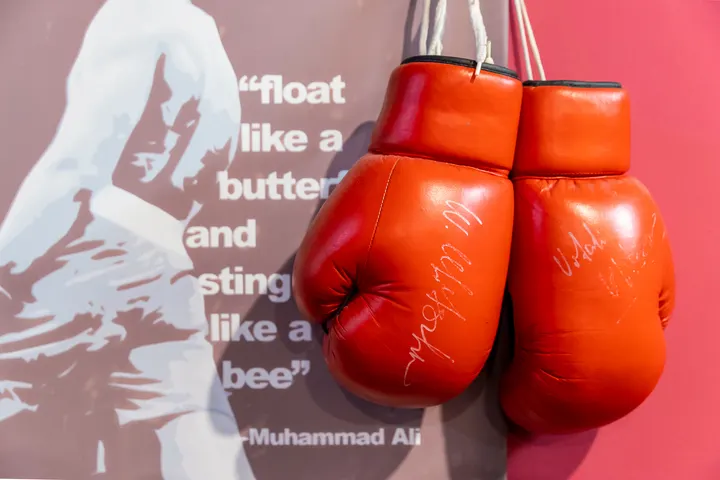 Executive Boxing Club | Kryosauna Frankfurt — wellness-studio in Frankfurt am Main — 4